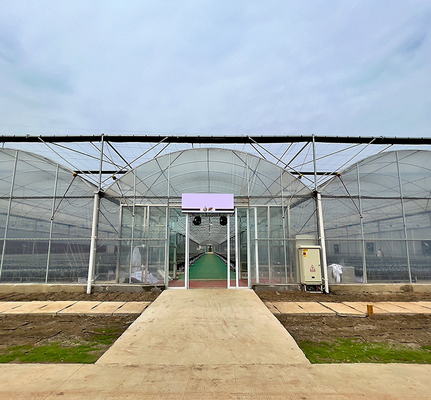De multiserre van de Spanwijdte Landbouw Plastic die Film voor Tomaat het Planten wordt aangepast