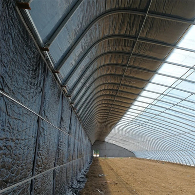 Enige Spanwijdte van de tunnel de Passieve Zonneserre met Dekbed voor Koud Hydroponic Gebied